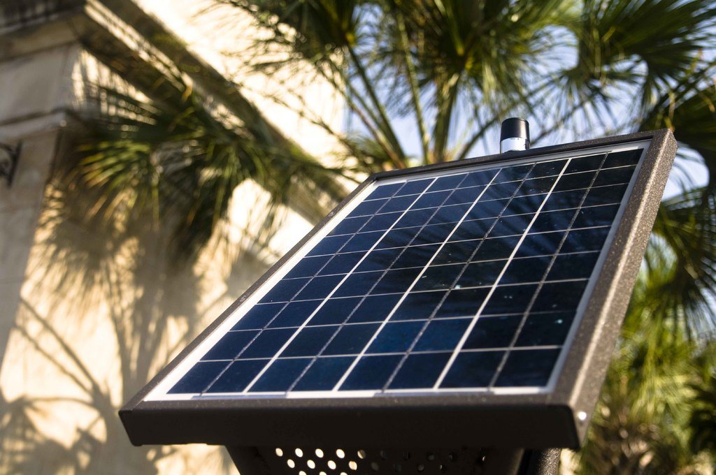 Solar panel angled toward the sun between leafy palm fronds